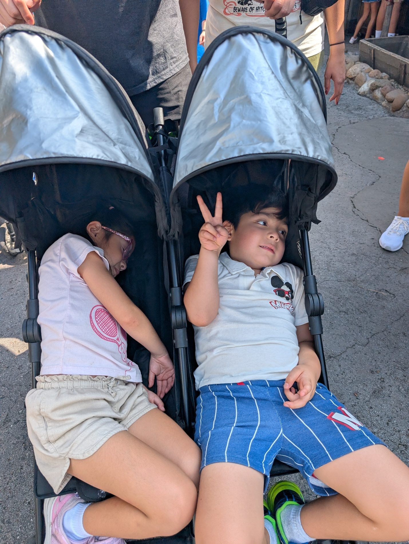 Children resting in strollers.