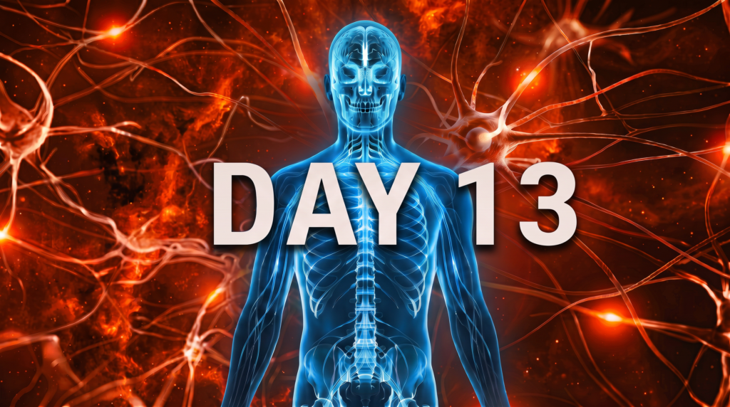A blue nervous system figure against an orange background with the words Day 13.