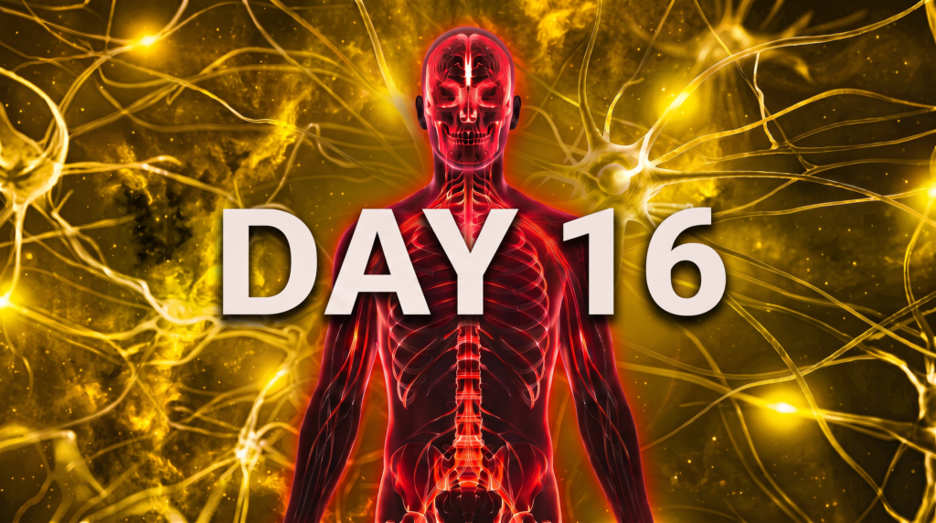 A red nervous system figure against a gold background with the words Day 16.