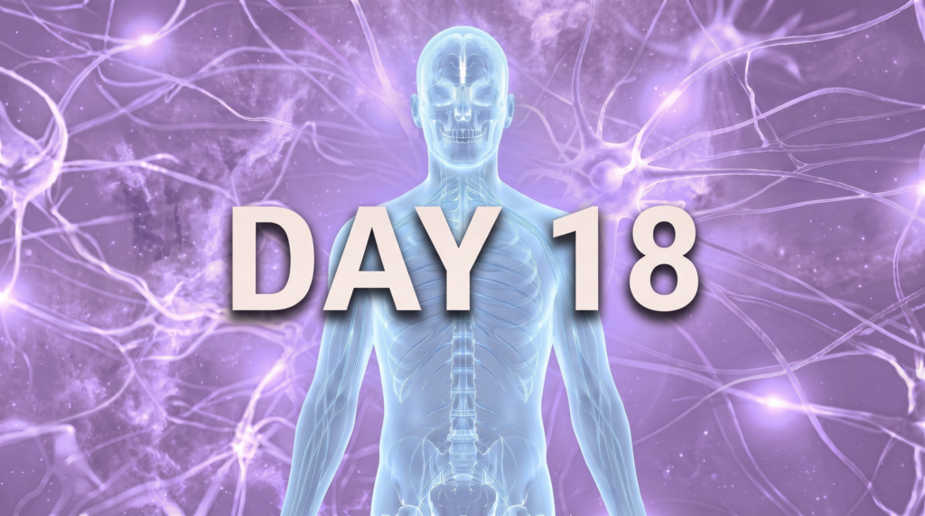 A pale blue nervous system figure against a lavender background with the words Day 18.