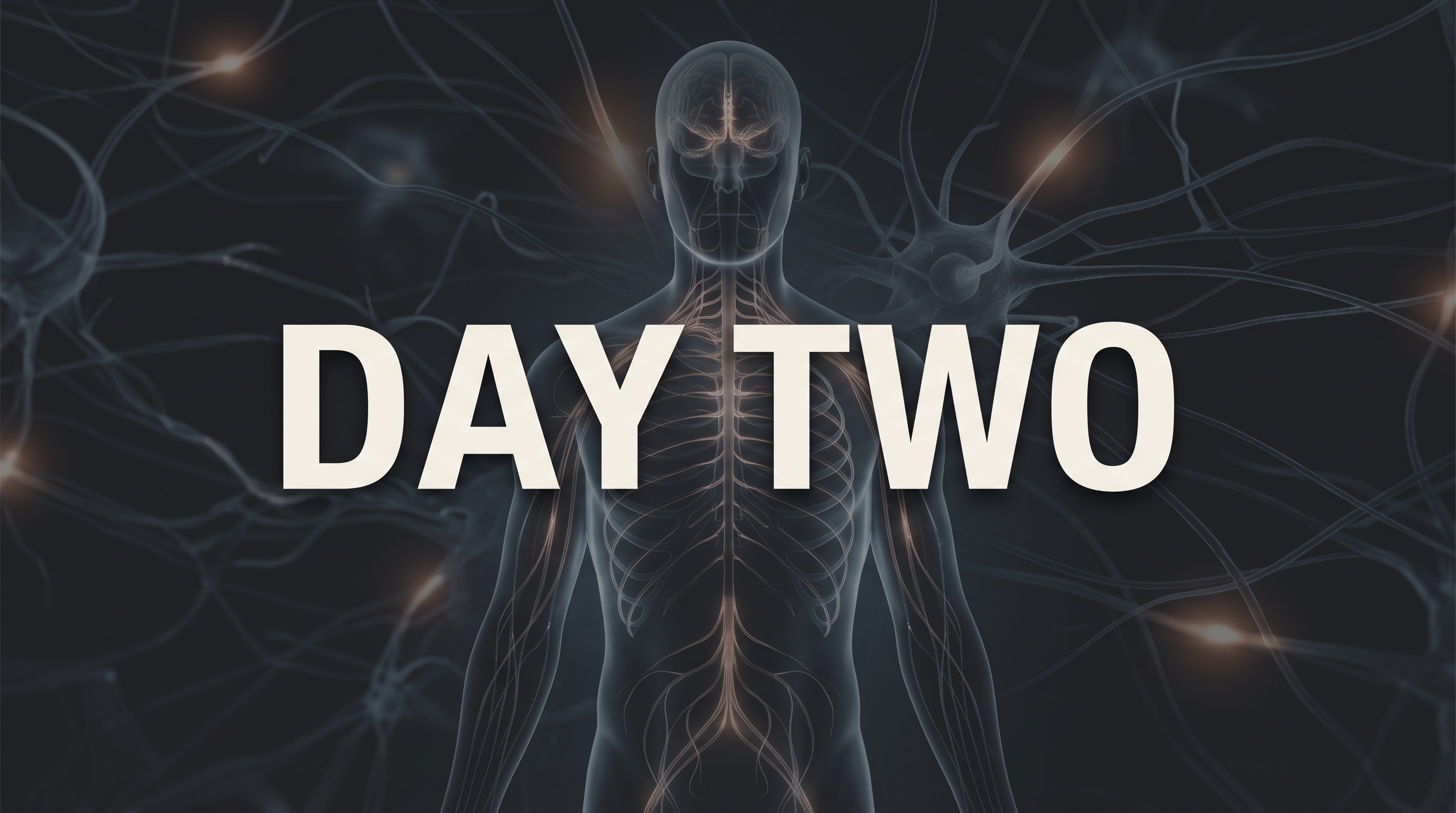 A dark nervous system illustration with the words Day Two.