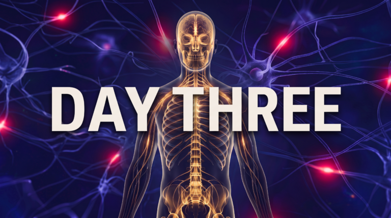 A dark nervous system illustration with the words Day Three.