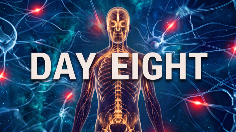 A dark nervous system illustration with the words Day Eight.