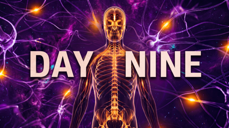 A purple nervous system illustration with the words Day Nine.