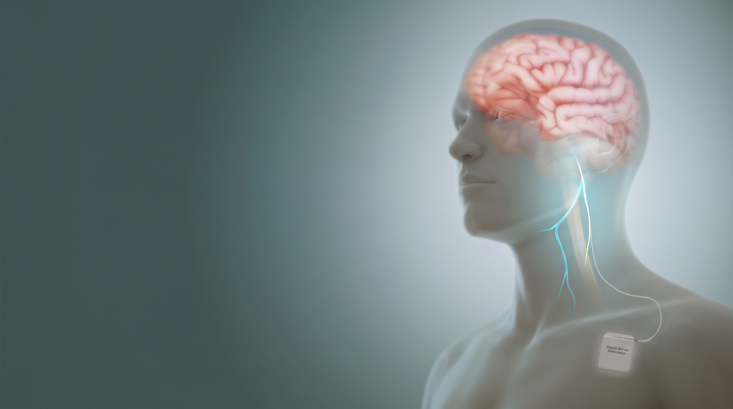 A medical-style nervous system illustration showing the brain and vagus nerve with open space for the article title.
